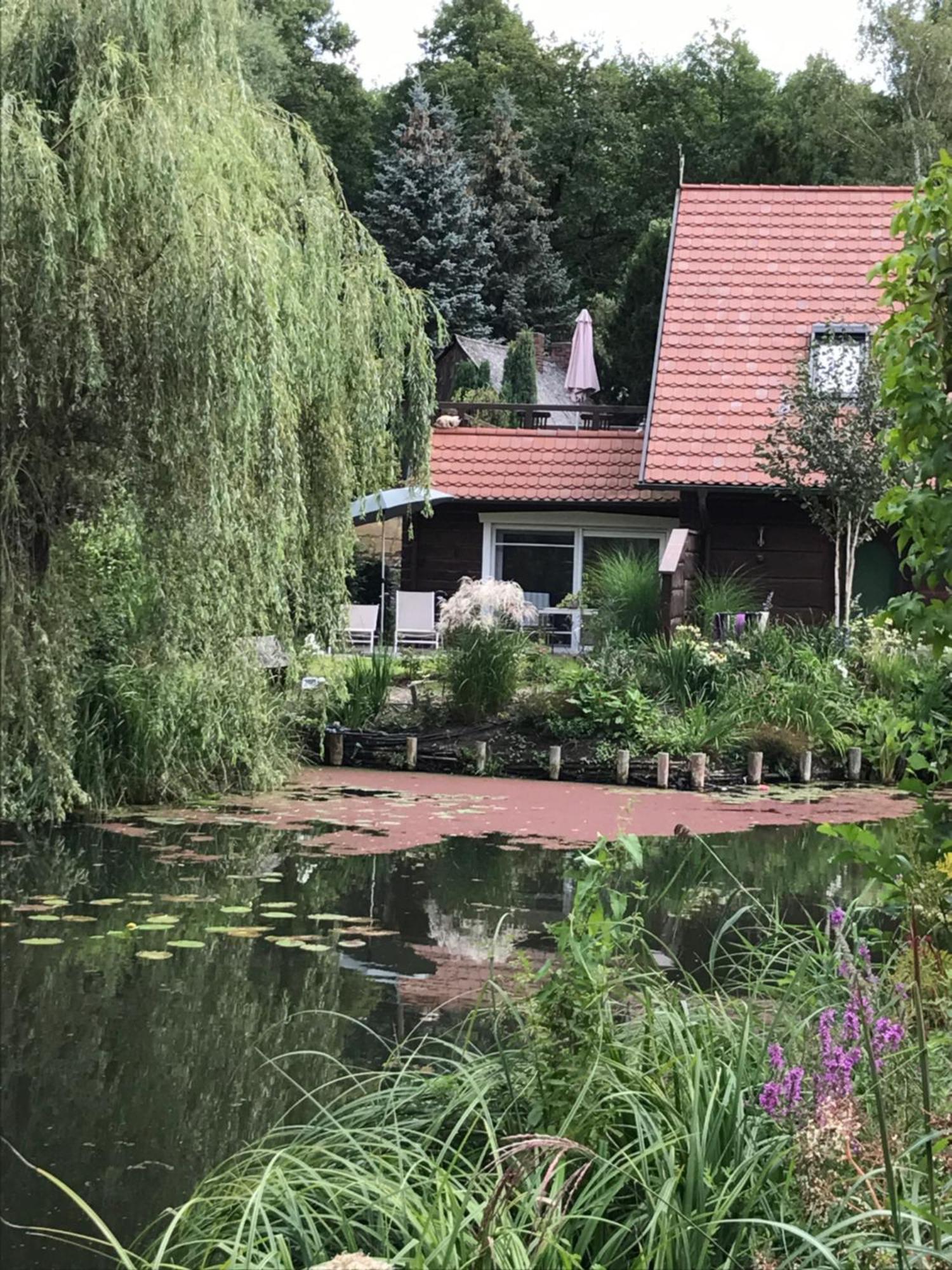 Ferienwohnungen Direkt Am Wasser Burg  Dış mekan fotoğraf
